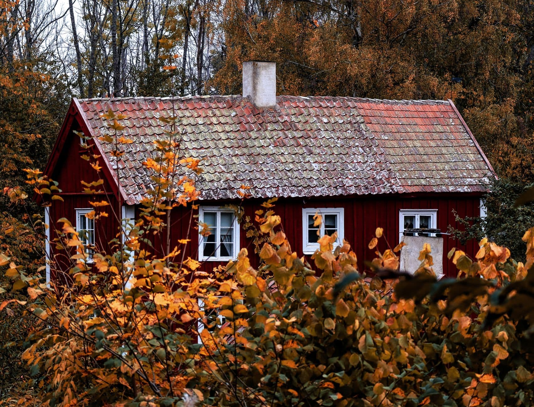 Red wooden cabin surrounded by vibrant autumn leaves in a rural countryside setting.